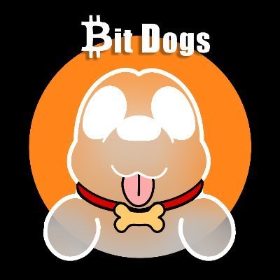 If you love doge, take your bitdogs to home
(10,000 original Bitdogs living on #Bitcoin #Oridinals.Powered by love,created for all.)
如果你喜欢狗狗，那就领一只比特狗带回家！