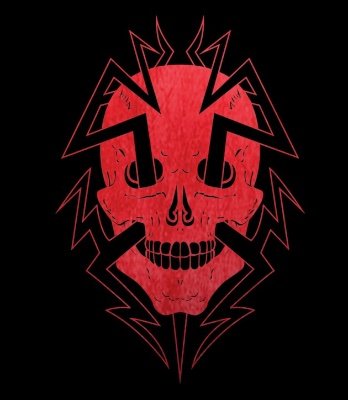 ⚡️It's Vulture Time!⚡️
-When Punk meets Metal-