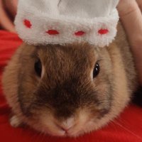 puisk onapalechoix (@onapalechoix) 's Twitter Profile Photo puisk onapalechoix (@onapalechoix) 's Twitter Profile Photo