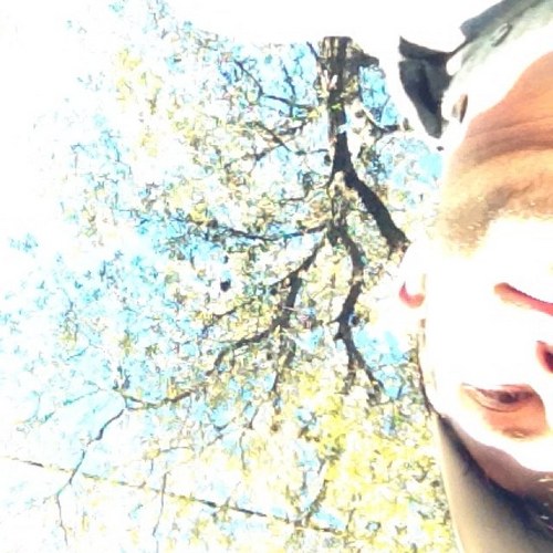 iScroggins's profile picture. Entirely too good at napping.