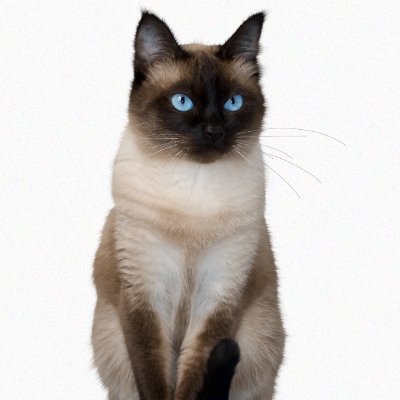 Recruiter @_dartmoon
Specializing in finding the purr-fect talent for my team.
#staypawsitive