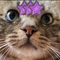 Nico26 MHNow (@nico26ree) 's Twitter Profile