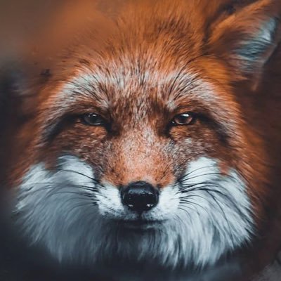 2025 WILL BE MY YEAR. 40K to 40MILLION ON DEFI & TRADFI. FOLLOW MY PROGRESS HERE. DYOR