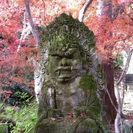 琵琶湖の周りで勧請縄を探してます。