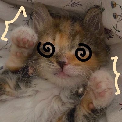 Aimiさんのプロフィール画像