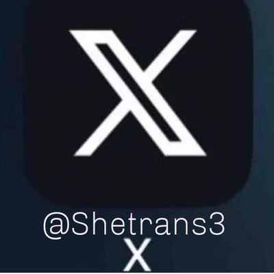 Shetrans3 Profile Picture