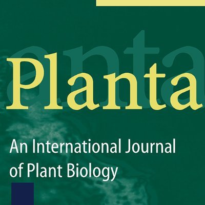 Planta publishes research on all aspects of plant biology and on any plant species. @Springer1842

Editors-in-Chief: Dorothea Bartels and Stefan de Folter.