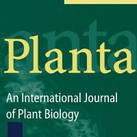 Planta_Journal (@planta_journal) 's Twitter Profile
