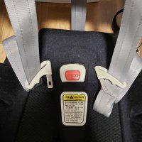 carseat fetish (@carseatfetish) 's Twitter Profile