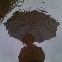 THE FOXY (@thefoxy418296) 's Twitter Profile