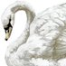 dana althani (@aldalthani) Twitter profile photo dana althani (@aldalthani) Twitter profile photo
