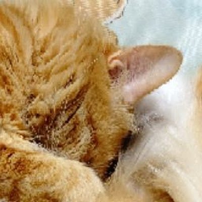 zWm6pAA4md13466's profile picture. 