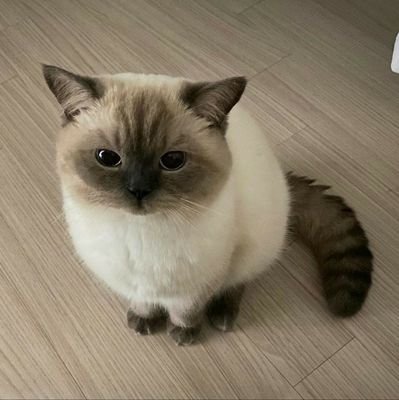 rsy9l's profile picture. 