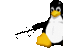 pe1rdw