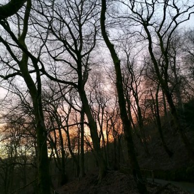 @bev_clough