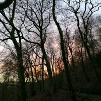 Beverley Clough (@bev_clough) 's Twitter Profile Photo Beverley Clough (@bev_clough) 's Twitter Profile Photo