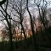 Beverley Clough (@bev_clough) Twitter profile photo Beverley Clough (@bev_clough) Twitter profile photo