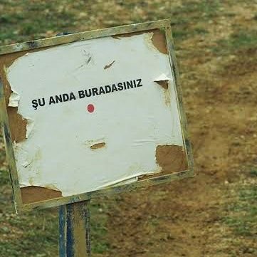 TayfunBulut's profile picture. 