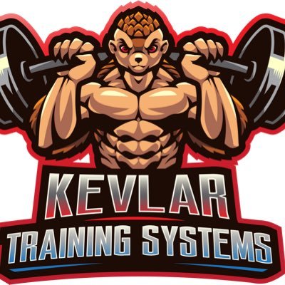 Here at Kevlar Training System we build our clients to become kevlar. 
 Working toward all health and fitness goals in sport and general.