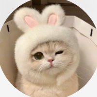 ✨ (@aiueooo552) 's Twitter Profile