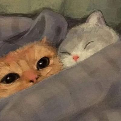 Medialunaycafe_'s profile picture. 