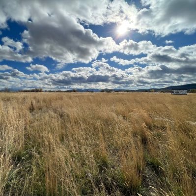 thinktank8691's profile picture. Dreams lie, a dreamer doesnot!