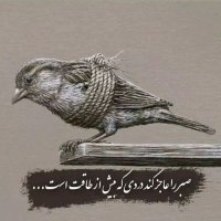 Nazari (@nazari1010) 's Twitter Profile Photo