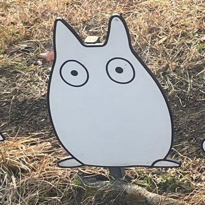 chaminano's profile picture. 