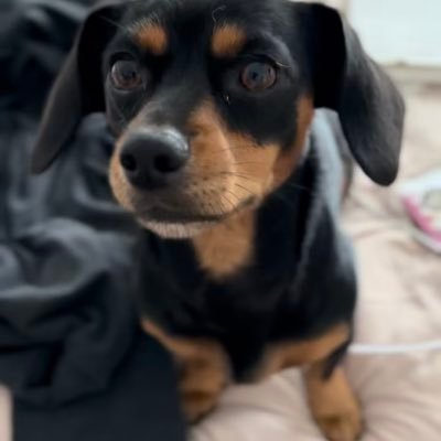 PattiMa38922988's profile picture. Ultra MAGA. Patriotic conservative. Respect the Veterans. Follow the Constitution. Please no DMs
