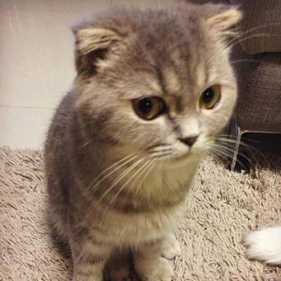 haoqixu_0o0's profile picture. :P