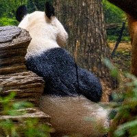 tenfast (@tenfastx) 's Twitter Profile