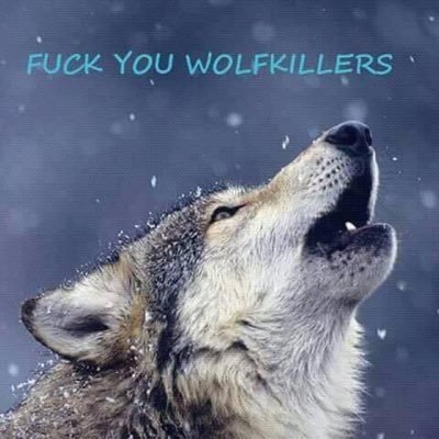 mikael51706281's profile picture. farfar Pappa och med sunt förnuft