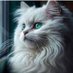 crazypets_stuffs (@crazypetsstuff3) Twitter profile photo crazypets_stuffs (@crazypetsstuff3) Twitter profile photo