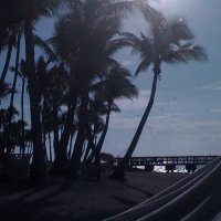 davisa (@netzero777) 's Twitter Profile