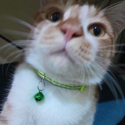 finandaOLE Profile Picture