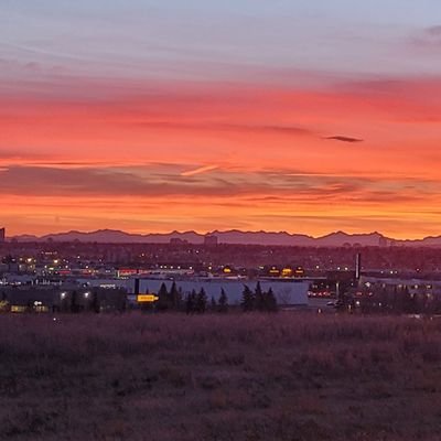 Prairie born, living in Cowtown.