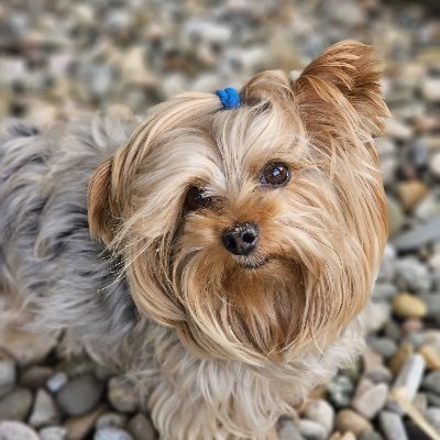 slawa99999's profile picture. Wolność kocham i rozumiem....
@slavi99999.bsky.social