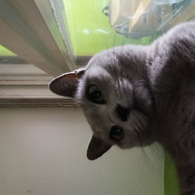 Vreme dolazi kada će ljudi poludeti, i kada vide nekoga ko nije poludeo napašće ga govoreći: ''Ti si lud, ti nisi kao mi''.
Ava Antonije Egipatski