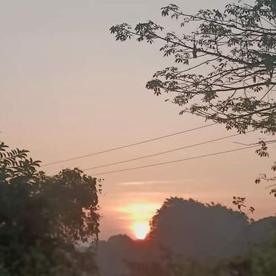 sumitrakumar310's profile picture. 