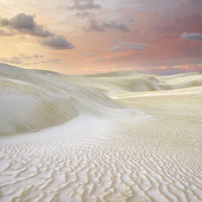 kyomodachi's profile picture. .