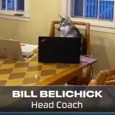 Carters4454's profile picture. Patriot fanatic, retired USAF and can out drink not drive John Daly if the time arises