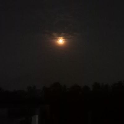 sarcasneha's profile picture. 