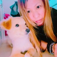 🌺コロリン姐🌺 (@ec_lty) 's Twitter Profile