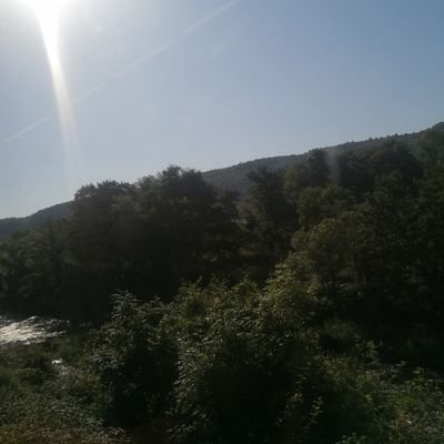 beanderno's profile picture. 