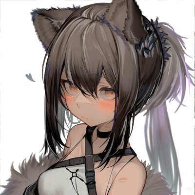 MaskedBooby's profile picture. 23 of age
minors DNI