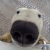 Papu_NaN (@papu_nan) Twitter profile photo Papu_NaN (@papu_nan) Twitter profile photo