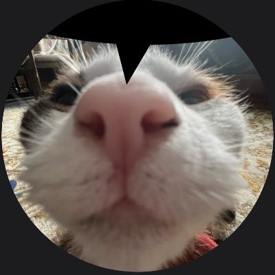 largely inactive on twitter so if i say something it means something