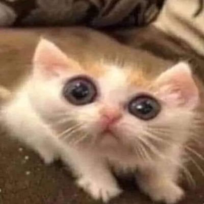 underine19's profile picture. sketches and shit posts | nom nom | 18+ only please | main: overine19