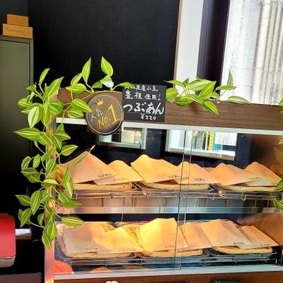 還暦すぎて 最後にやりたかったこと それが『たい焼き屋さん』でした。小さな願いが やっと叶い 2023年９月30日 ついに お店をOPEN！ たい焼き大好き人間が始めた『たい焼き屋さん』です♪ 尊敬し大好きなお店は #経堂小倉庵   私みたいなたい焼き大好き人間をいっぱい増やしたい…というのが次なる私の目標　#西武柳沢