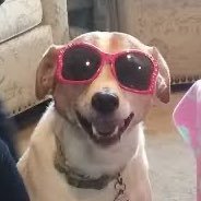 manonn_code's profile picture. 